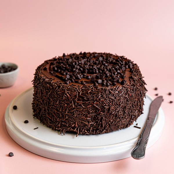 Double Chocolate Chip Cake