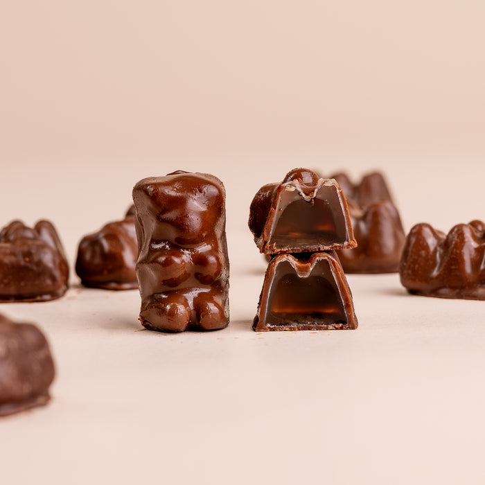 Swedish Milk Chocolate Gummy Bears