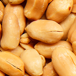 Nuts